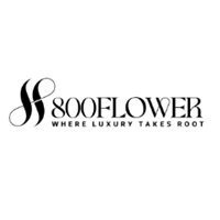800 Flower UAE