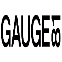 Gauge81