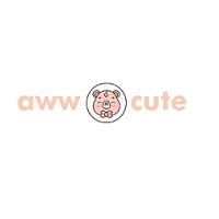 Aww Cute