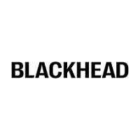 Blackhead Jewelry