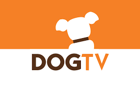 Dog Tv Rheman