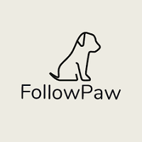 Follow Paw