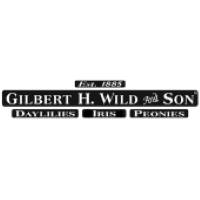 Gilbert H Wild And Son