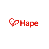 Hape Toys