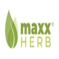 Maxx Herb