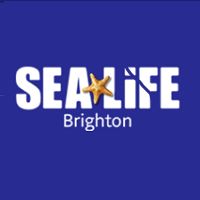 Sea Life Brighton
