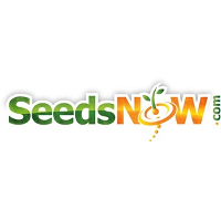 SeedsNow